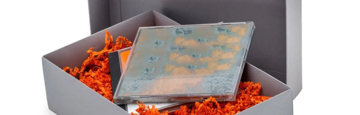 Płyty umieszczone w pudełku wypełnionym pomarańczowym sizzlepak