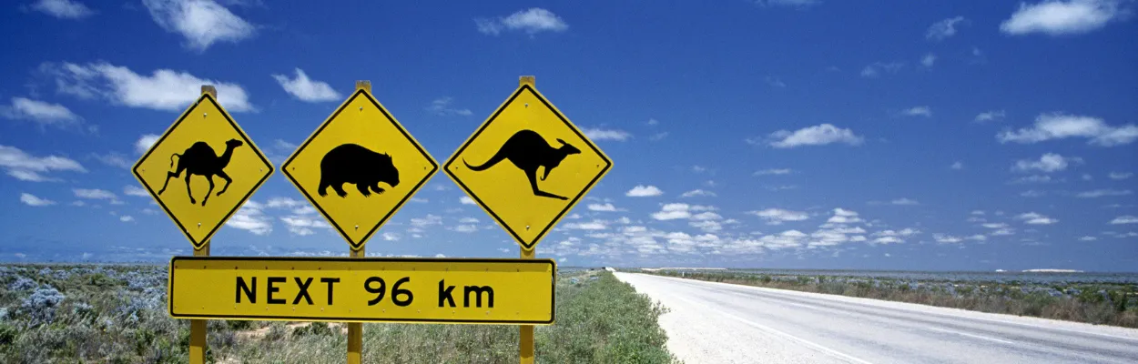 Znaki ostrzegające przed zwierzętami takimi jak wielbłądy i kangury