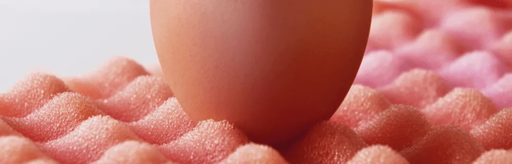 Jajko leżące na piance amortyzującej