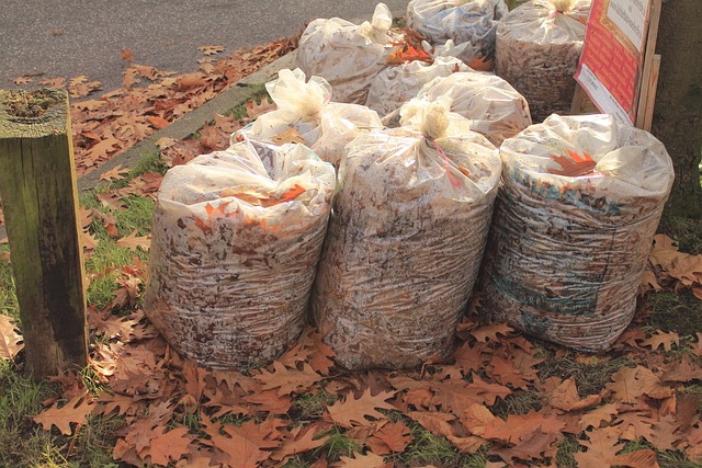 wypełnione worki na śmieci biodegradowalne z liśćmi