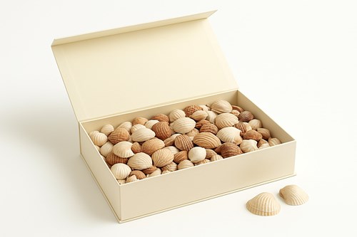 Pudełko magnetyczne 350x250x100mm Kość Słoniowa