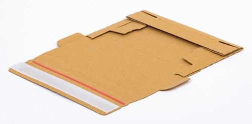 Karton Wykrojnikowy 200x100x20mm(zew) - 50 szt