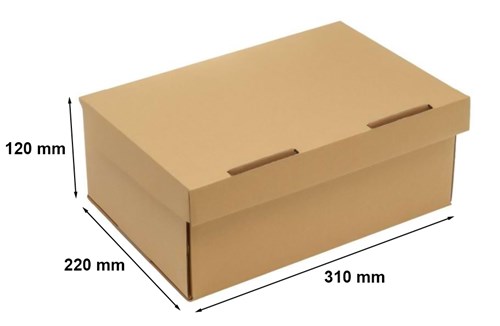 pudelko-kartonowe-a4-310x220x120-20szt.jpg