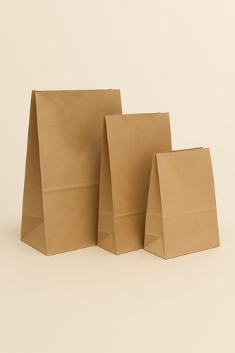 Torba papierowa KLOCKOWA 220x110x280 / BRĄZOWA