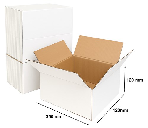 Pakiet - Karton Klapowy 350x120x120mm - 50szt