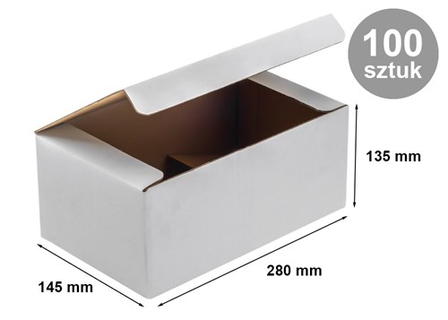 Pakiet - Karton wykr. 280x145x135mm Biały - 100szt