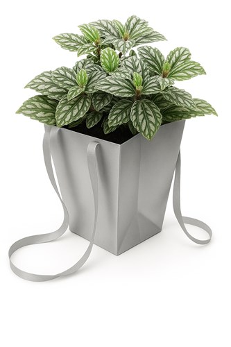 Srebrna torba papierowa Prestige 125x125x180 / 165x165 mm – elegancka i błyszcząca