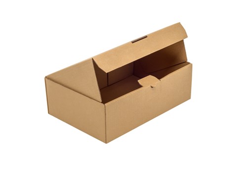 Pakiet - Karton wykr. 300x200x80mm - 100szt