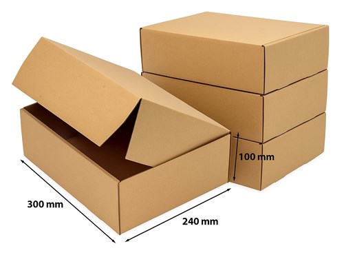 Pakiet - Karton wykr. 300x240x100mm - 50 szt