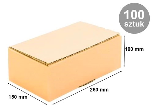 Pakiet - Karton Wykr. 250x150x100mm(ze) B380 - 100