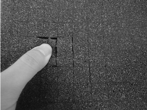 Walizka transportowa