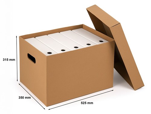Karton Archiwizacyjny Segregator Bezkwasowy z wiekiem  525x350x315mm