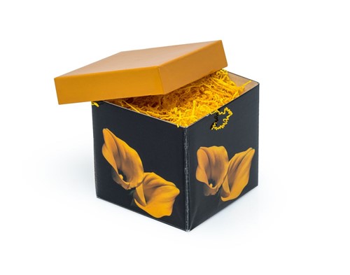 Pudełko składane 100x100x100mm XS K-803 FB1