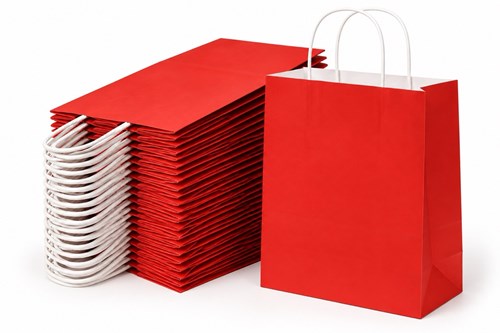 Zestaw 25 czerwonych toreb papierowych ECOBAG o wymiarach 305 × 170 × 340 mm, gramaturze 100 g/m² i pojemności 17,5 l, z papierowymi uchwytami sznurko