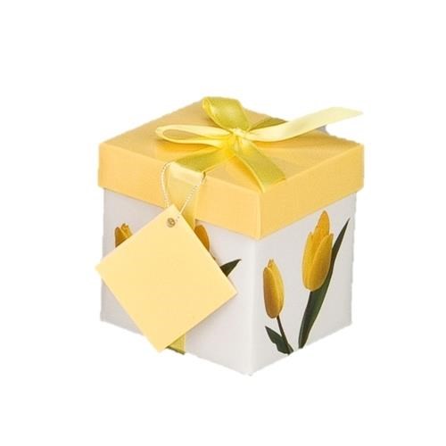 Pudełko składane 100x100x100mm XS K-803 FA1