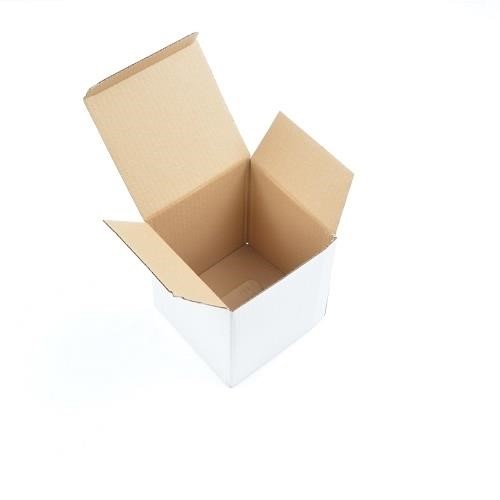 opakowanie wykrojnikowe