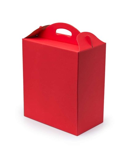 Pudełko z uchwytem czerwone F217 300x180x350mm