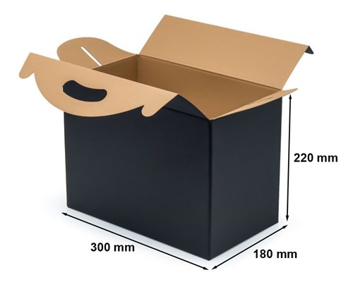 Pudełko z uchwytem F217 300x180x220mm czarne
