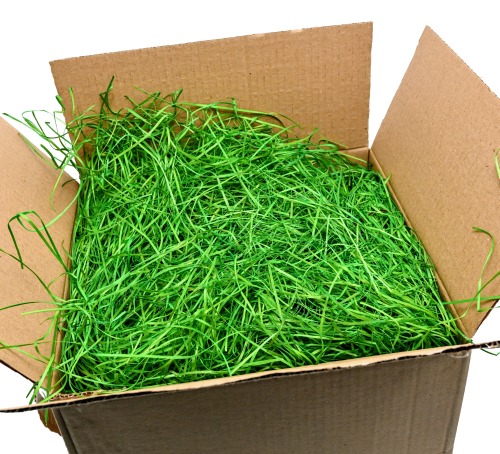 pistacjowa wiolina do paczek