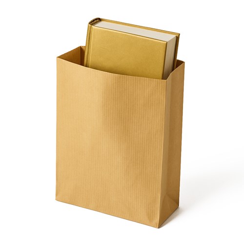 Torebka fałdowa KRAFT GOLD 120x200+45mm