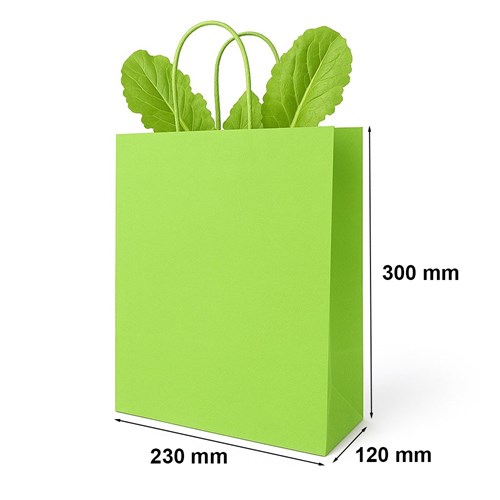 Zielona torebka papierowa 230x120x300 mm z uchwytem skręcanym – lekka i przyjazna naturze