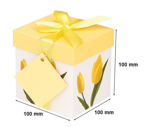 Pudełko składane 100x100x100mm XS K-803 FA1