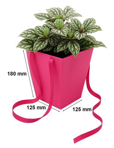 Torba papierowa flower box fuksja 125x125x180 / 165x165 mm – kobiece i stylowe opakowanie