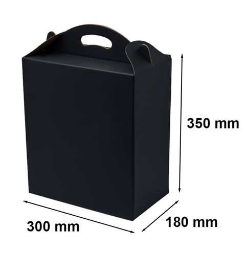 Pudełko z uchwytem 300x180x350mm czarne F217