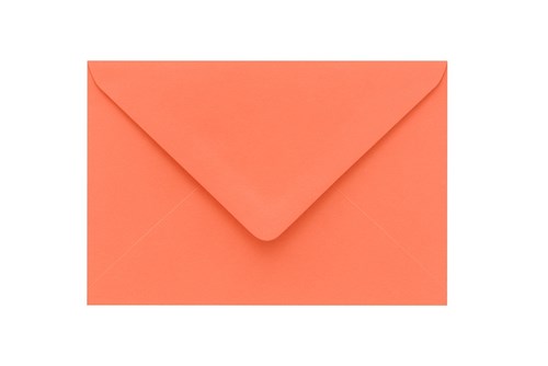 Koperty B6 / Łososiowe Salmon/ 120g a50
