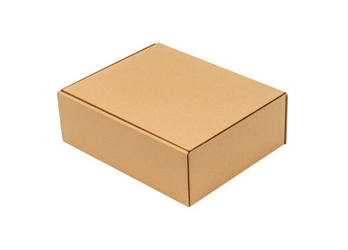 Pakiet - Karton wykr. 300x240x100mm - 50 szt