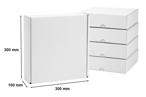 Pakiet - Karton wykr. 300x300x100mm - 10 szt