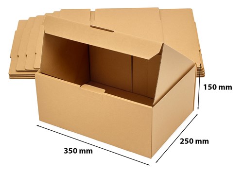 Pakiet - Karton wykr. 350x250x150mm - 50 szt
