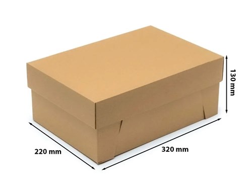 Karton wykrojnikowy na buty 320x220x130 mm 10 szt