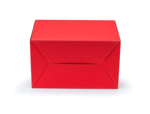 Pudełko z uchwytem F217 300x180x220mm czerwone