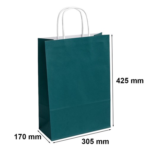 Zestaw 10 zielonych toreb papierowych ECOBAG o wymiarach 305 × 170 × 425 mm, pojemności 23 l, wykonanych z papieru 100 g/m², z dnem klockowym i uchwyt