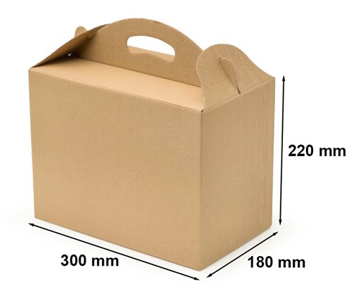 Pudełko z uchwytem F217 300x180x220mm karbowane