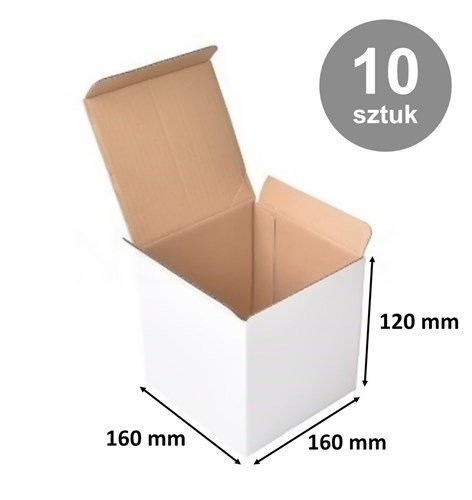 Pakiet - Karton wykr. 160x160x120mm Biały - 10 szt