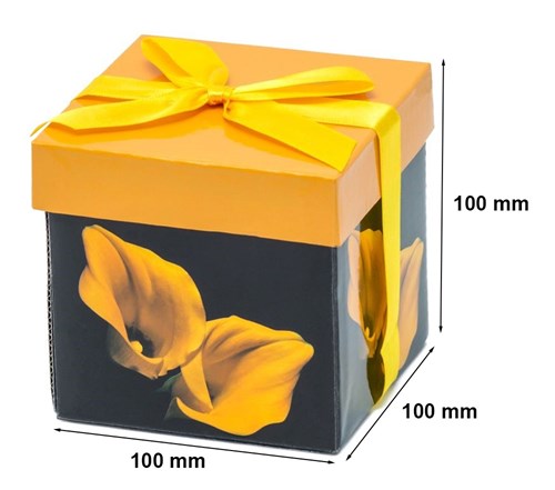 Pudełko składane 100x100x100mm XS K-803 FB1