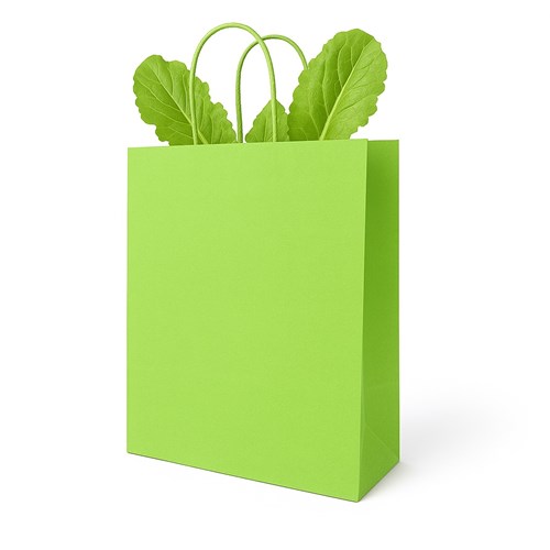 Zielona torebka papierowa 230x120x300 mm z uchwytem skręcanym – lekka i przyjazna naturze
