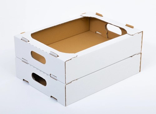 Karton tacka pączki warzywa 400x300x85mm B360 F436 Biały