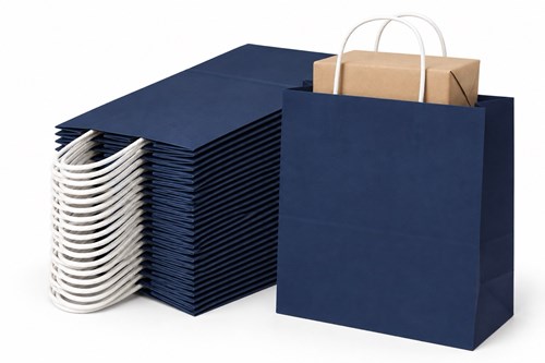 Zestaw 100 granatowych toreb papierowych ECOBAG o wymiarach 305 × 170 × 340 mm, gramaturze 100 g/m² i pojemności 17,5 l, z papierowymi uchwytami sznur