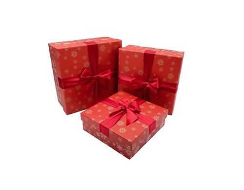 Zestaw Pudełek PUG-22149-KW (3szt)