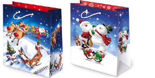 Torby Świąteczne 10szt.