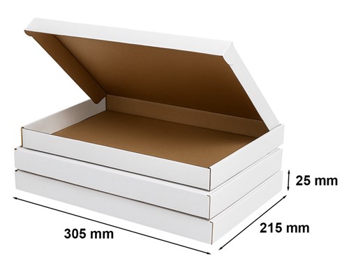 Pakiet - Karton wykr. 305x215x25mm  Biały - 10 szt