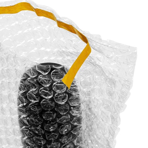 Woreczki pęcherzykowate