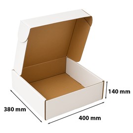 Karton wykrojnikowy 400x380x140