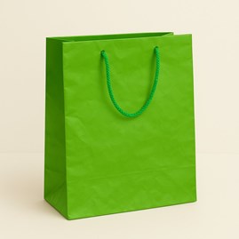 Torebka Papierowa Jasnozielona