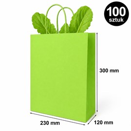 Torba prezentowa 230x120x300 mm zielona 100 szt