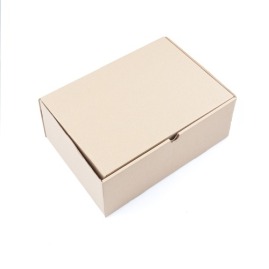 karton wykrojnikowy transportowy