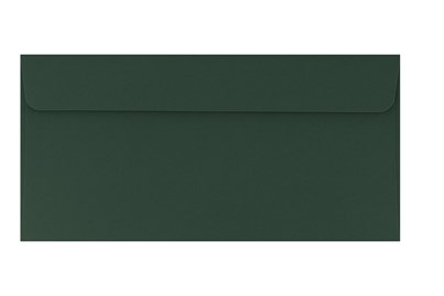 Koperty DL HK/ Zielen Butelkowa / 120g a50